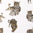[S1237R-185666] [S1237R] Poplin Digitaltryckt Mix Aspen Snoozy Fabrics (Jaguar)