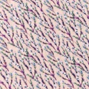 [S1242R-185703] [S1242R] Double Gauze Crinkled Digital Printed Mix Meadow Snoozy Fabrics (Wild Flower)