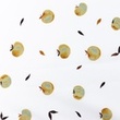 [S1246R-185747] [S1246R] Popeline Stampa Digitaale Mix Oak Snoozy Fabrics (Turchese Chiaro)