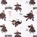 [S1560L-3681] [S1560L] Licence Digital Printed Harry Potter 1 ™© (Design A)