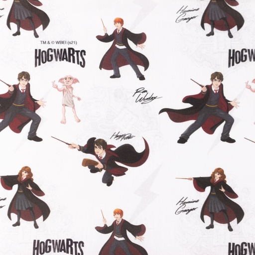 [S1560L] Licence Digital Printed Harry Potter 1 ™©