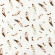 [S1419R-187247] [S1419R] Waffle Jersey Digital Printed Brownie Snoozy Fabrics (Design A)
