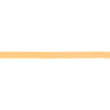 [034R-1118] [034R] Stretchable Bias Binding Luxury Polyamide (Peach)