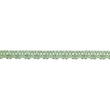 [128R-1180] [128R] Cotton Lace Colour Line (Basil)