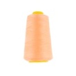 [224R-1118] [224R] Filo Da Cucito Overlock (Pesca)