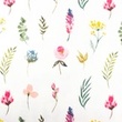 [S1677R-3235] [S1677R] Jersey Digital Printed Bees And Flowers (Flowers)