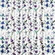[S1677R-3733] [S1677R] Jersey Digital Printed Bees And Flowers (All Over Flower)