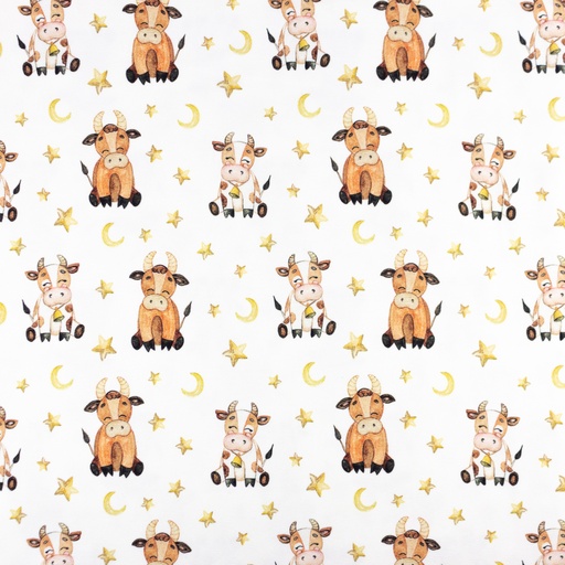 [S1493R] Jersey Digital Printed Good Night Snoozy Fabrics