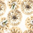 [S1540R-188044] [S1540R] Jersey Digital Printed Big Flowers (Flowers)