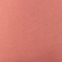 [S1690R-1000] [S1690R] Jersey Uni 100% Cotton (Apricot)