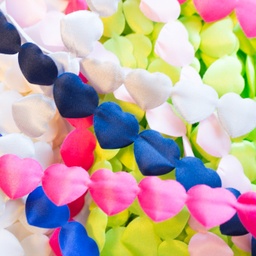 [008R] Ruban Coeurs Deluxe