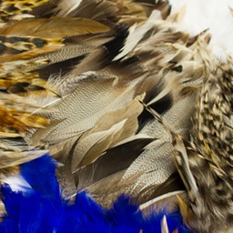 [055R] Fleco De Plumas Largo