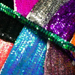 [066R] Nastro Di Paillettes Elastico 20 mm