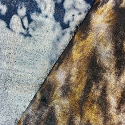 [S2582R] Arizona Silver And Gold