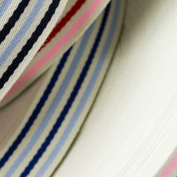 [238R] Webbing Stripe 2-Coloured