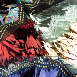 [582R] Nastro Spighetta Burlesco